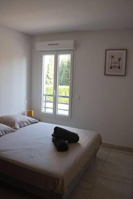 Suberbe Appartement Climatise Avec Terrasse Saint-Raphaël Buitenkant foto
