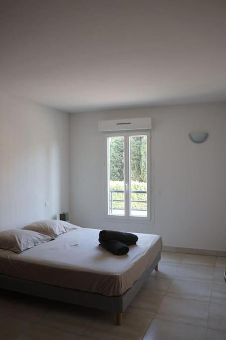 Suberbe Appartement Climatise Avec Terrasse Saint-Raphaël Buitenkant foto